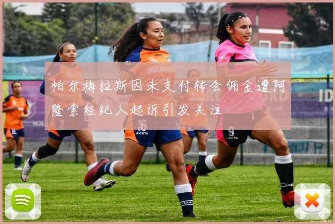 帕尔梅拉斯因未支付转会佣金遭阿隆索经纪人起诉引发关注