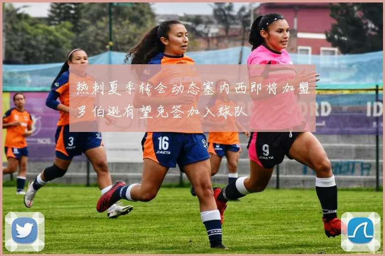 热刺夏季转会动态塞内西即将加盟罗伯逊有望免签加入球队