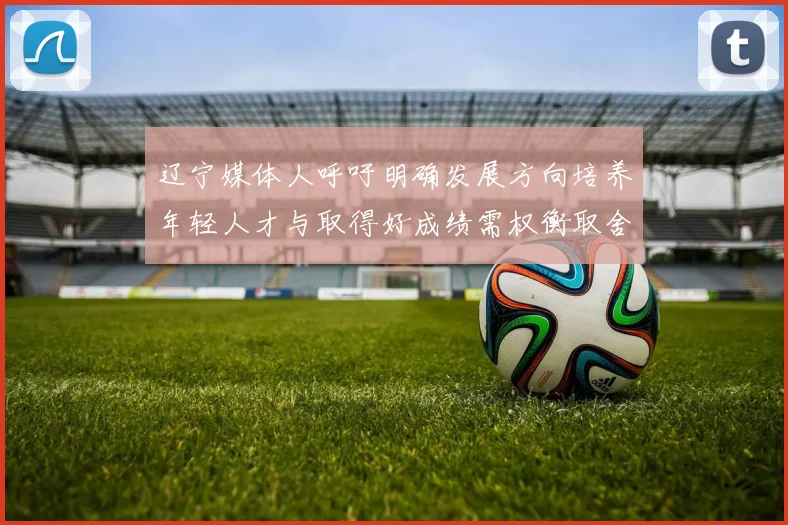 辽宁媒体人呼吁明确发展方向培养年轻人才与取得好成绩需权衡取舍