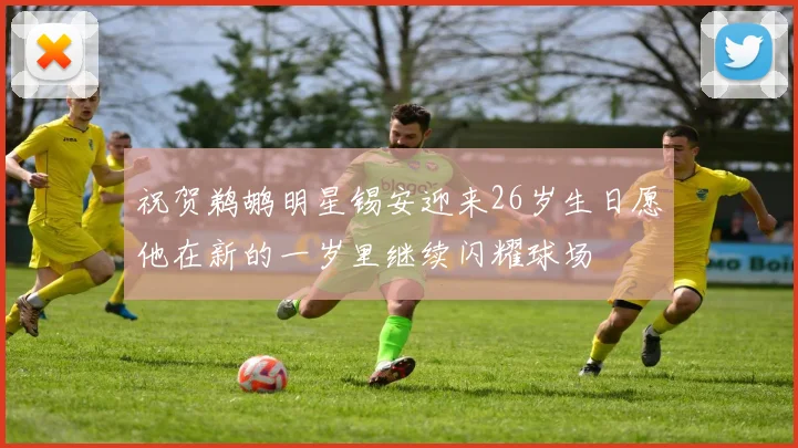 祝贺鹈鹕明星锡安迎来26岁生日愿他在新的一岁里继续闪耀球场